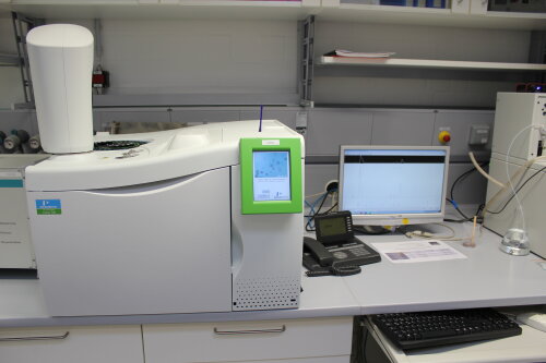 Perkin Elmer Clarus 580 mit FID